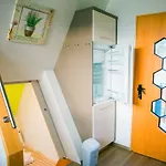 Apartman Beeland Skok Mozirje