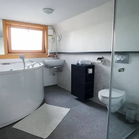 Apartment Beeland Skok