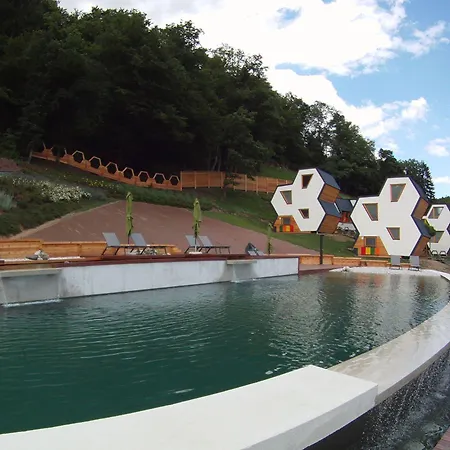 Beeland Skok Mozirje