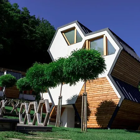 Beeland Skok 모지례
