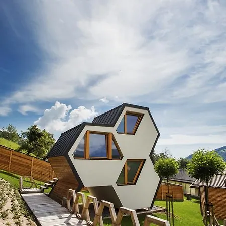 Beeland Skok 모지례